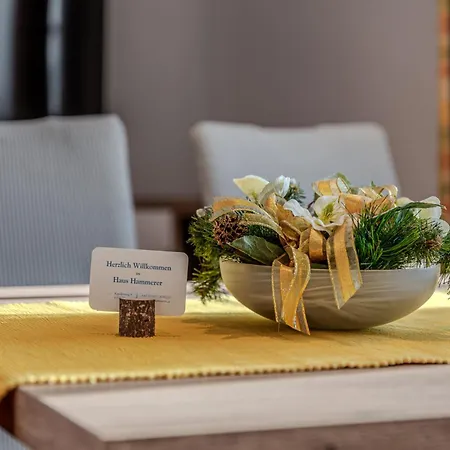 公寓 Haus Hammerer