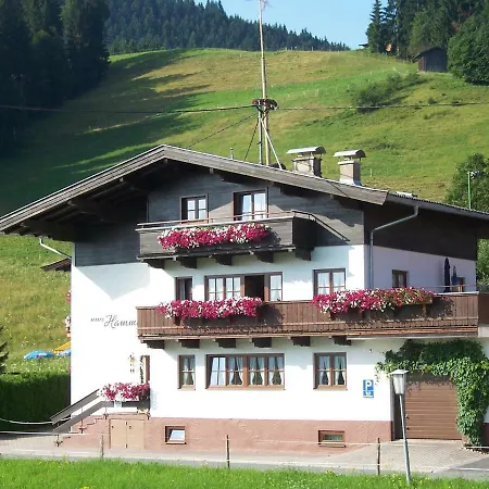 Апартаменты Haus Hammerer