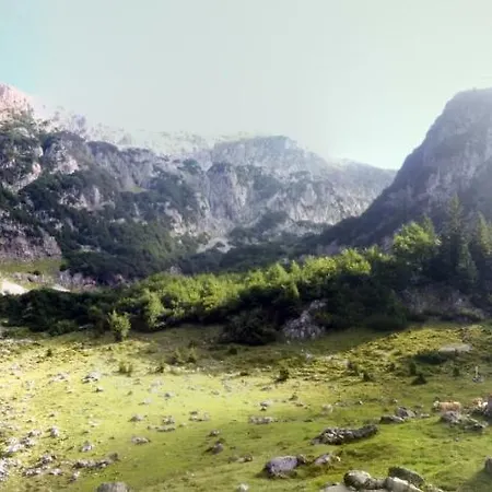 Апартаменты Haus Hammerer