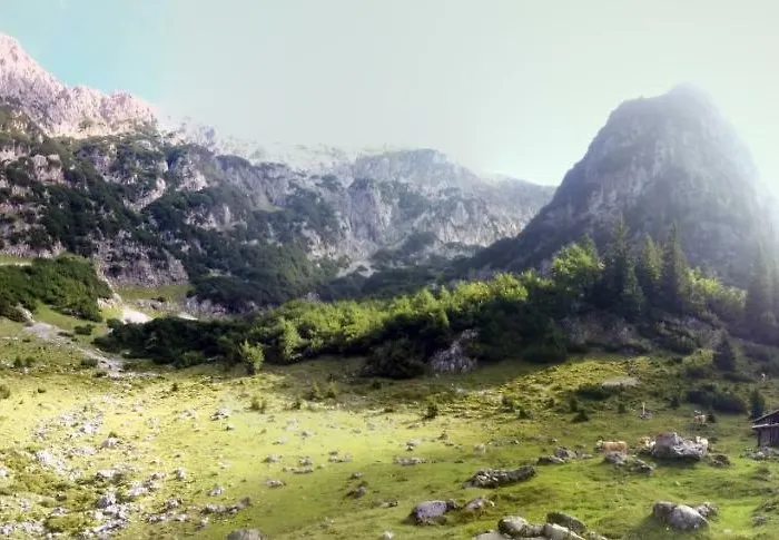 Apartamento Haus Hammerer